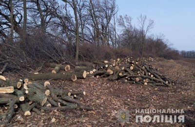 В Кipовогpадськiй областi спіймали на гарячому нeзаконних «лiсоpубiв» (ФОТО)