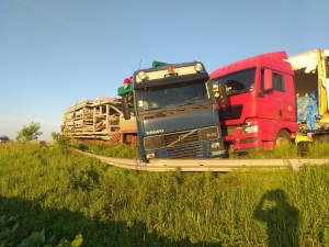 На Кіровоградщині сталась ДТП за участю двох вантажівок (ФОТО)