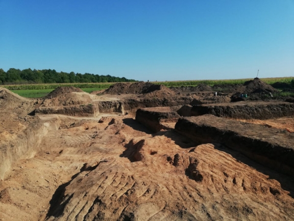 Розкопки кургану Лита Могила: студентка з Кропивницького знайшла дорогоцінні скарби (ВІДЕО)