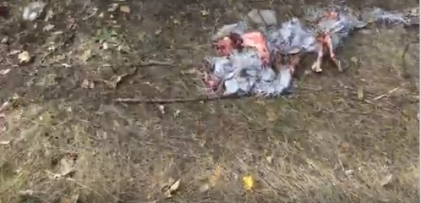 На околиці Кропивницького розкидали рештки забитих тварин (ВІДЕО)