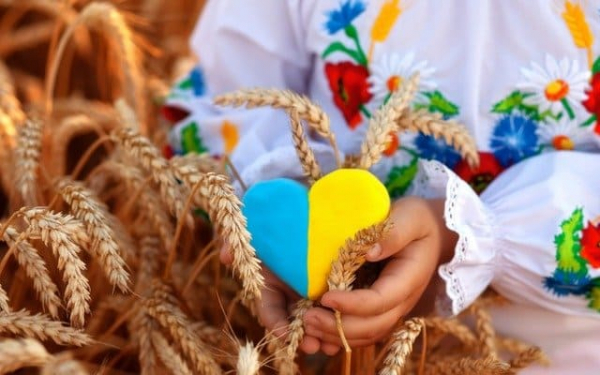 Як у Кропивницькому святкуватимуть День Незалежності