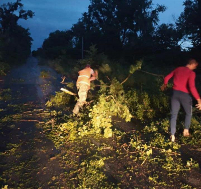 Шляховики всю ніч боролись з наслідками негоди на дорогах Кіровоградщини