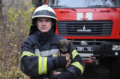 На Кіровоградщині пройшла акція «Надзвичайні тварини від рятувальників»