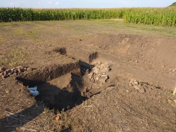 Вчені зафіксували кілька аномалій біля кургану Лита Могила на Кіровоградщині (ФОТО)