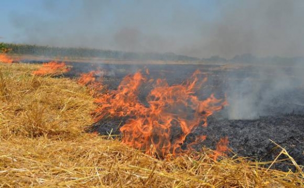 Ще чотири пожежі сталося на полях Кіровоградщини