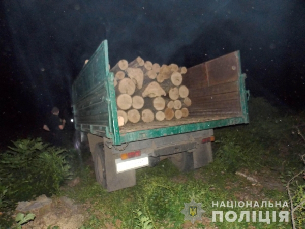 На Кіровоградщині затримано крадіїв деревини