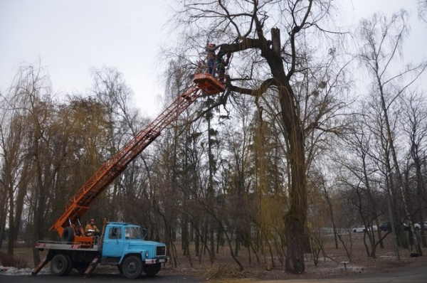 У Кропивницькому засніжені дерева перетворили на стовпи (ФОТО)