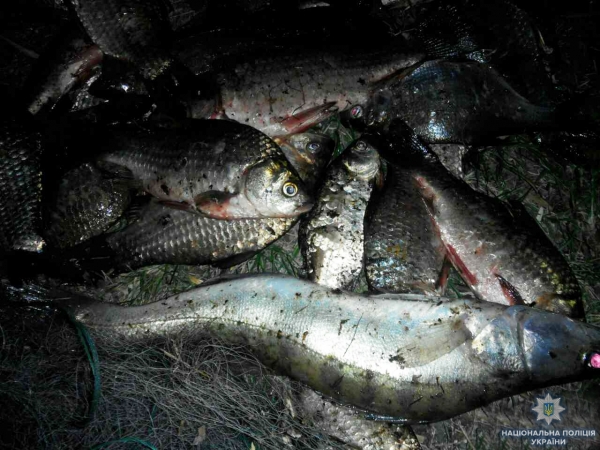 На Кіровоградщині майже 50 бракон&#039;єрів притягнули до адмінвідповідальності